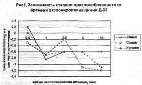 File8211.jpg
