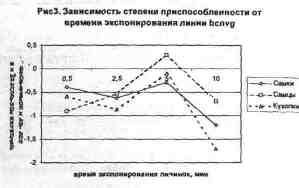 File8213.jpg