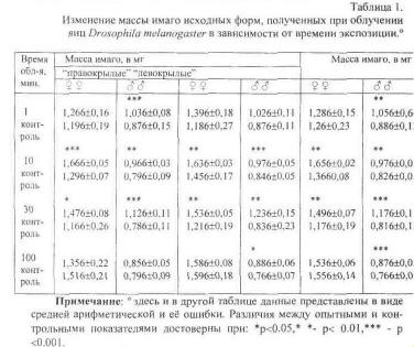 File9651.jpg