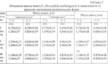 File9652.jpg