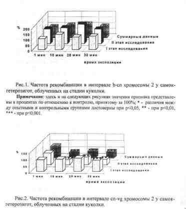 File9681.jpg
