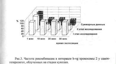 File9682.jpg