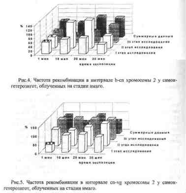 File9683.jpg