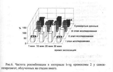File9684.jpg