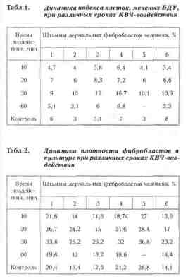 File11291.jpg